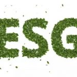 O que é ESG?